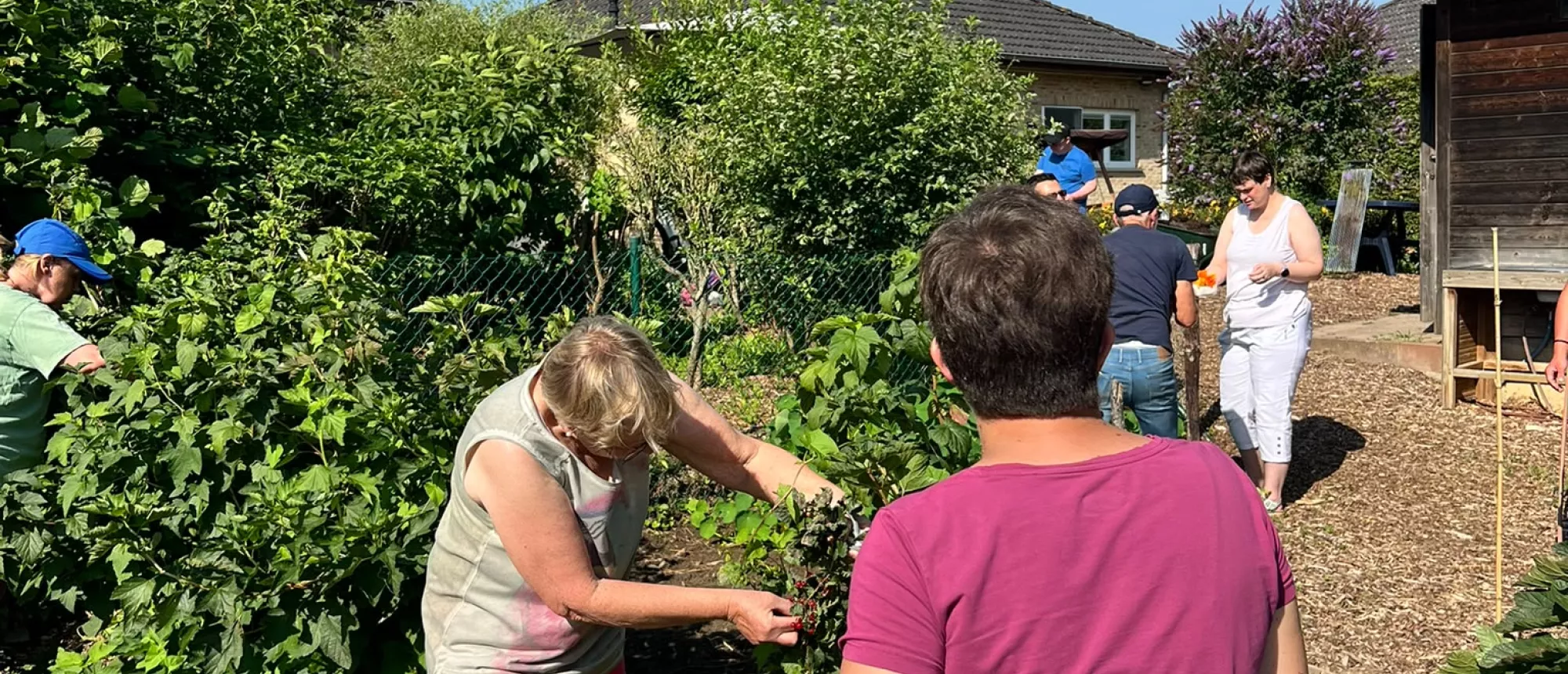 Moestuinatelier